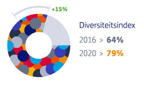 Diversiteitsindex