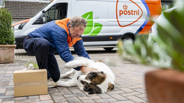 Pakketbezorger aait een hond die op de grond ligt