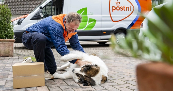 Pakketbezorger aait een hond die op de grond ligt